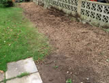Finished conifer stumps
