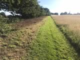 Flail Mowing