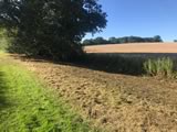 Flail Mowing