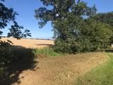 Flail Mowing
