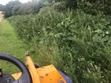 Flail Mowing