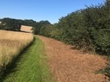 Flail Mowing