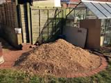 Stump Grinding (after)